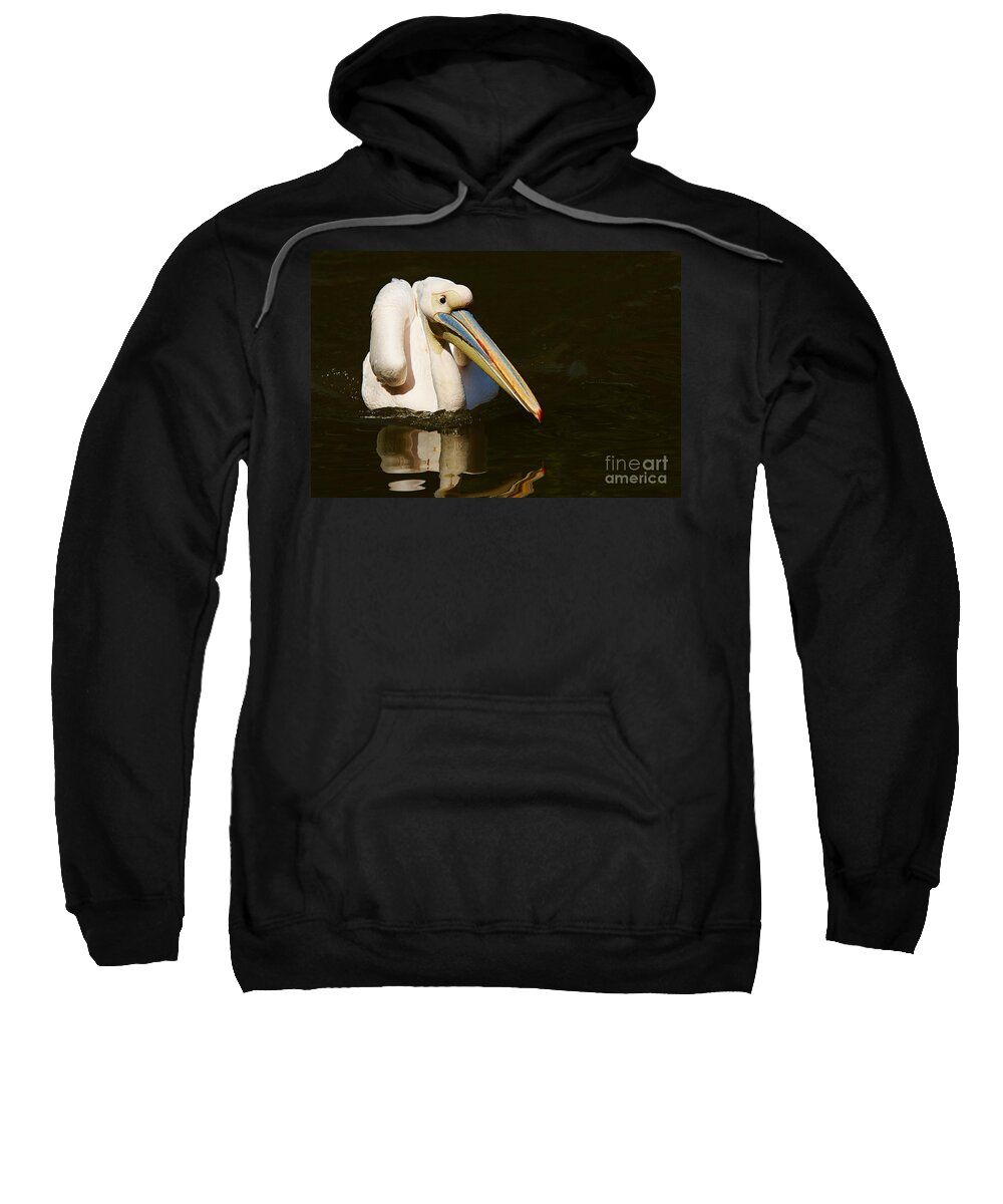 Animal Sweatshirt featuring the photograph Swimming Pink Pelican by Nick Biemans