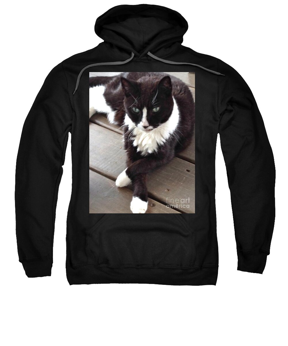 Cat Sweatshirt featuring the photograph Tess the Temptress by Alice Terrill