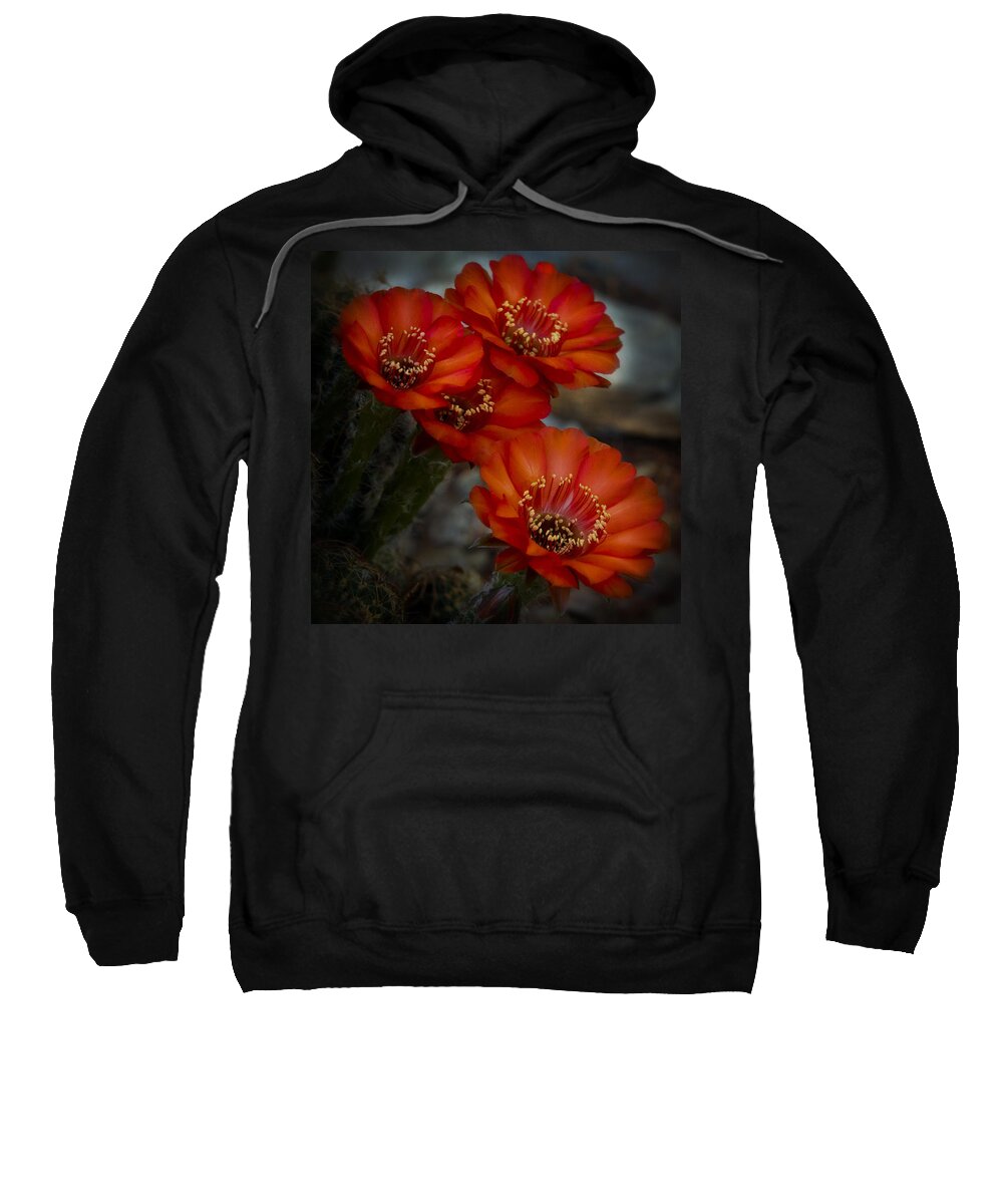 Red Cactus Flower Sweatshirt featuring the photograph The Beauty of RED by Saija Lehtonen