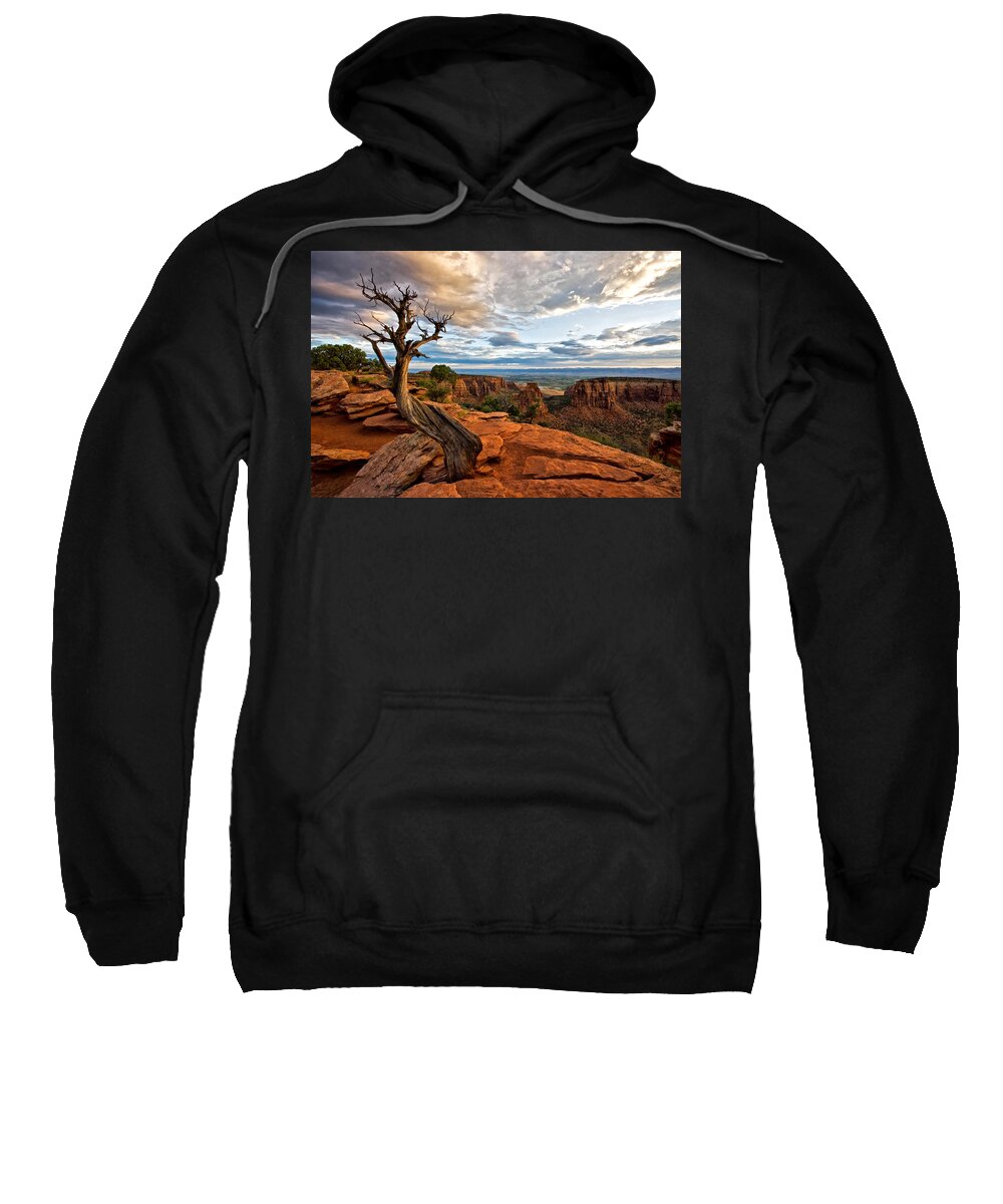 Colorado National Monument Sweatshirt featuring the photograph The Crooked Old Tree by Ronda Kimbrow