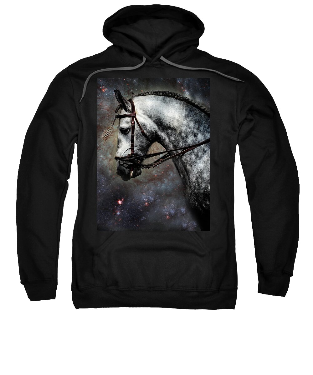 Horse Sweatshirt featuring the photograph The Horse Among the Stars by Jenny Rainbow