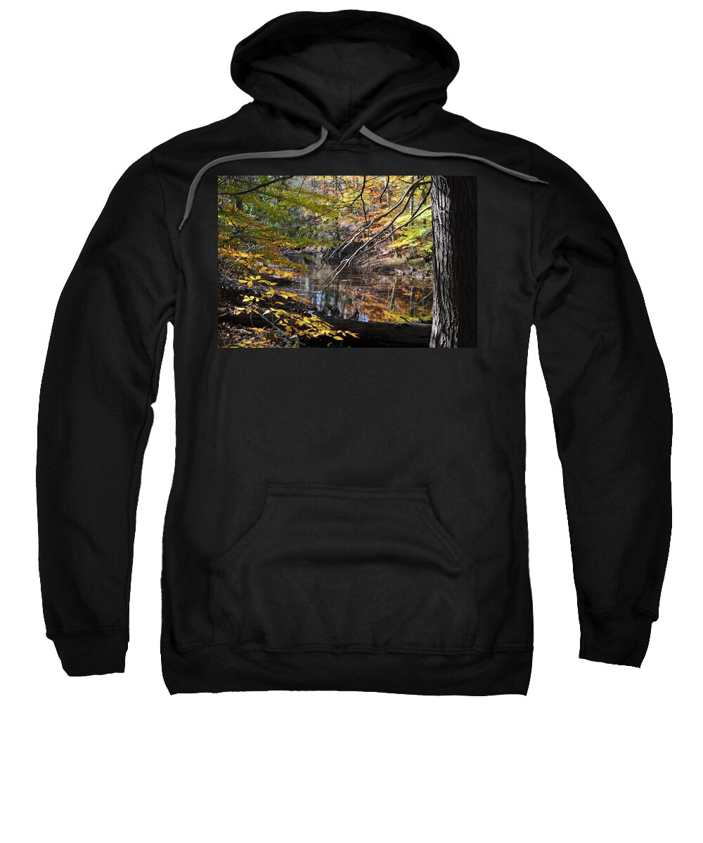 Landscape Sweatshirt featuring the photograph The Sentry by Jack Harries