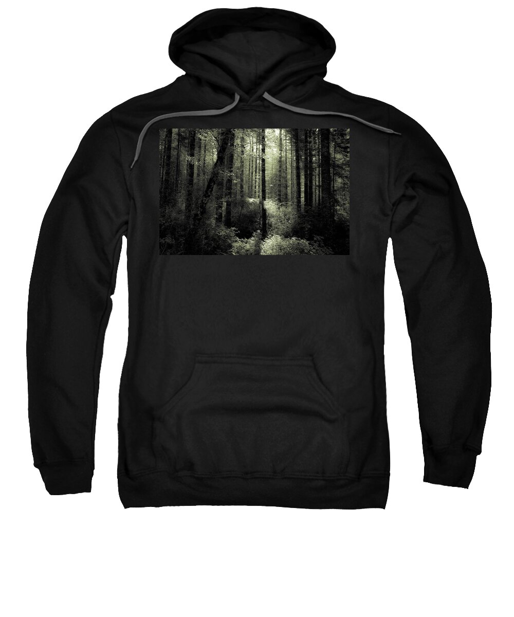 Forest Sweatshirt featuring the photograph The Woods by KATIE Vigil