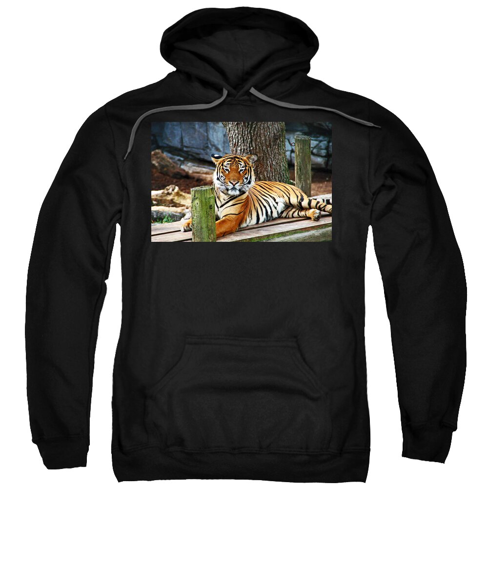 Tiger Sweatshirt featuring the photograph Tiger Portrait by Aimee L Maher ALM GALLERY