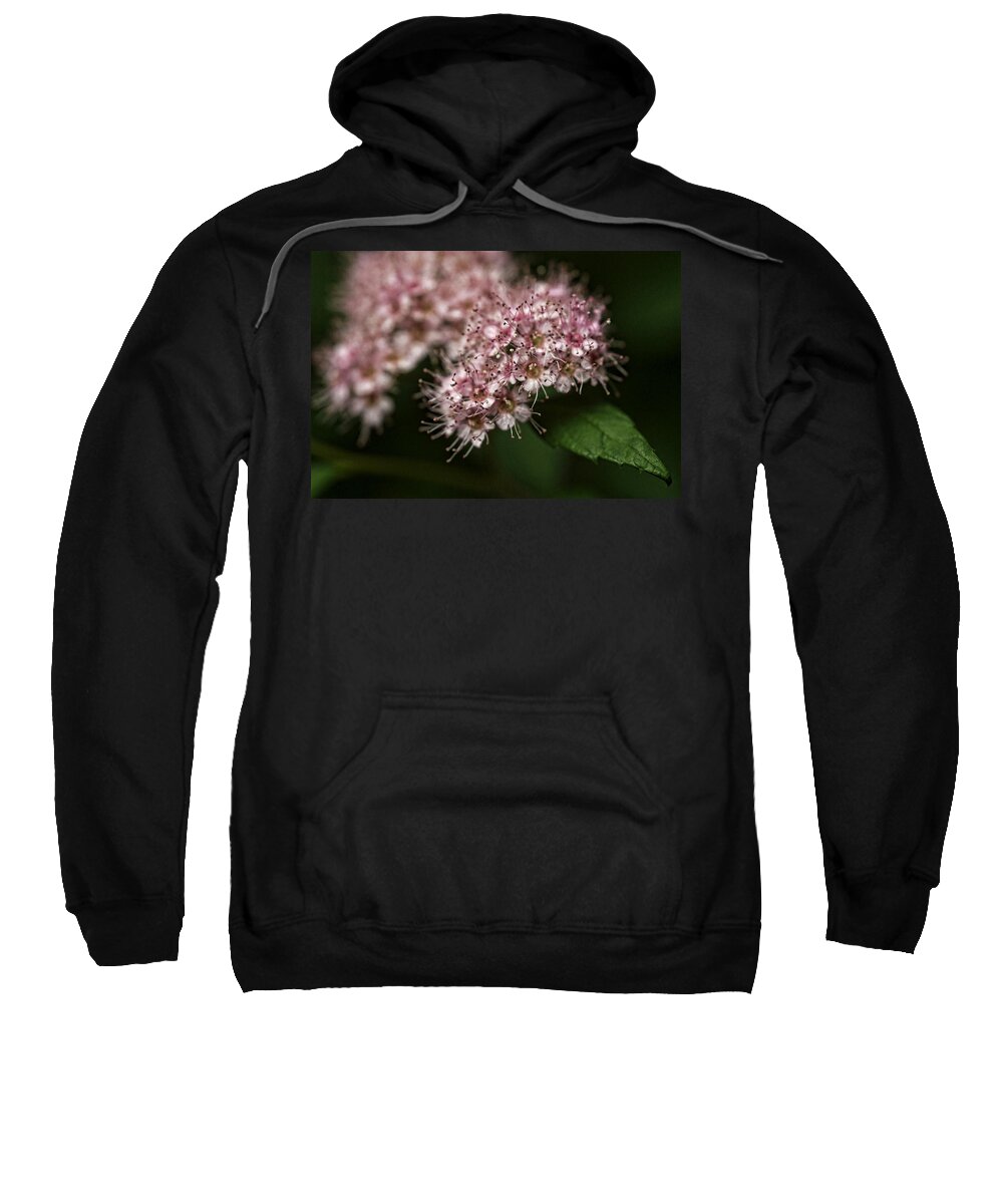 Flowers Sweatshirt featuring the photograph Tiny flowers by Michael McGowan