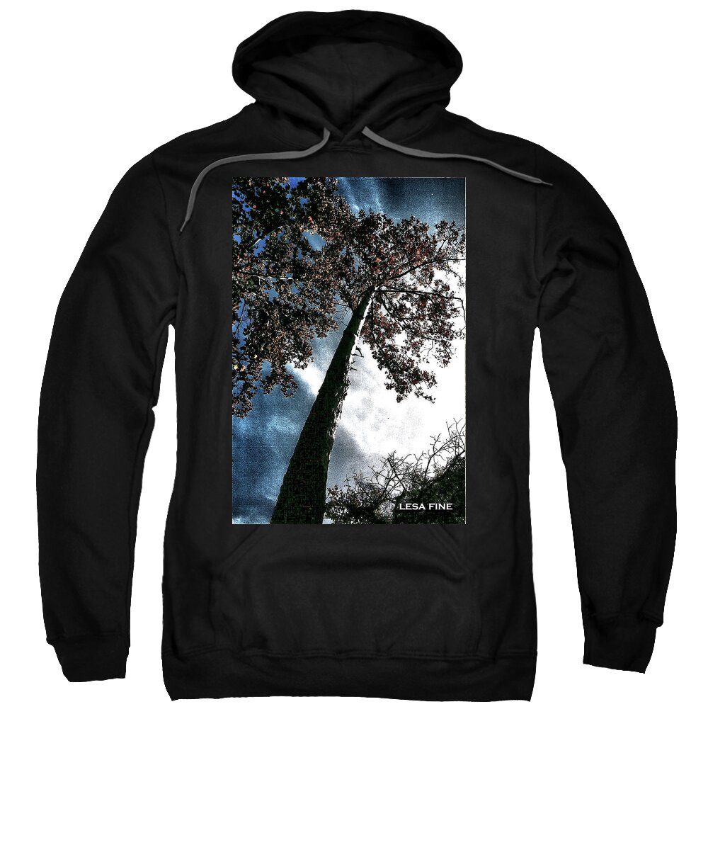 Tree Sweatshirt featuring the photograph Tippy Top Tree II art by Lesa Fine