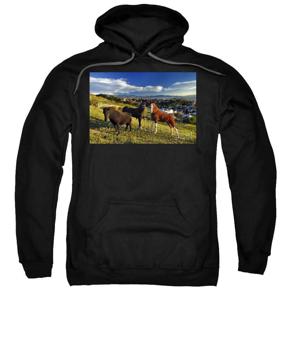 Horse Sweatshirt featuring the photograph Tree horses The alhambra and Granada by Guido Montanes Castillo