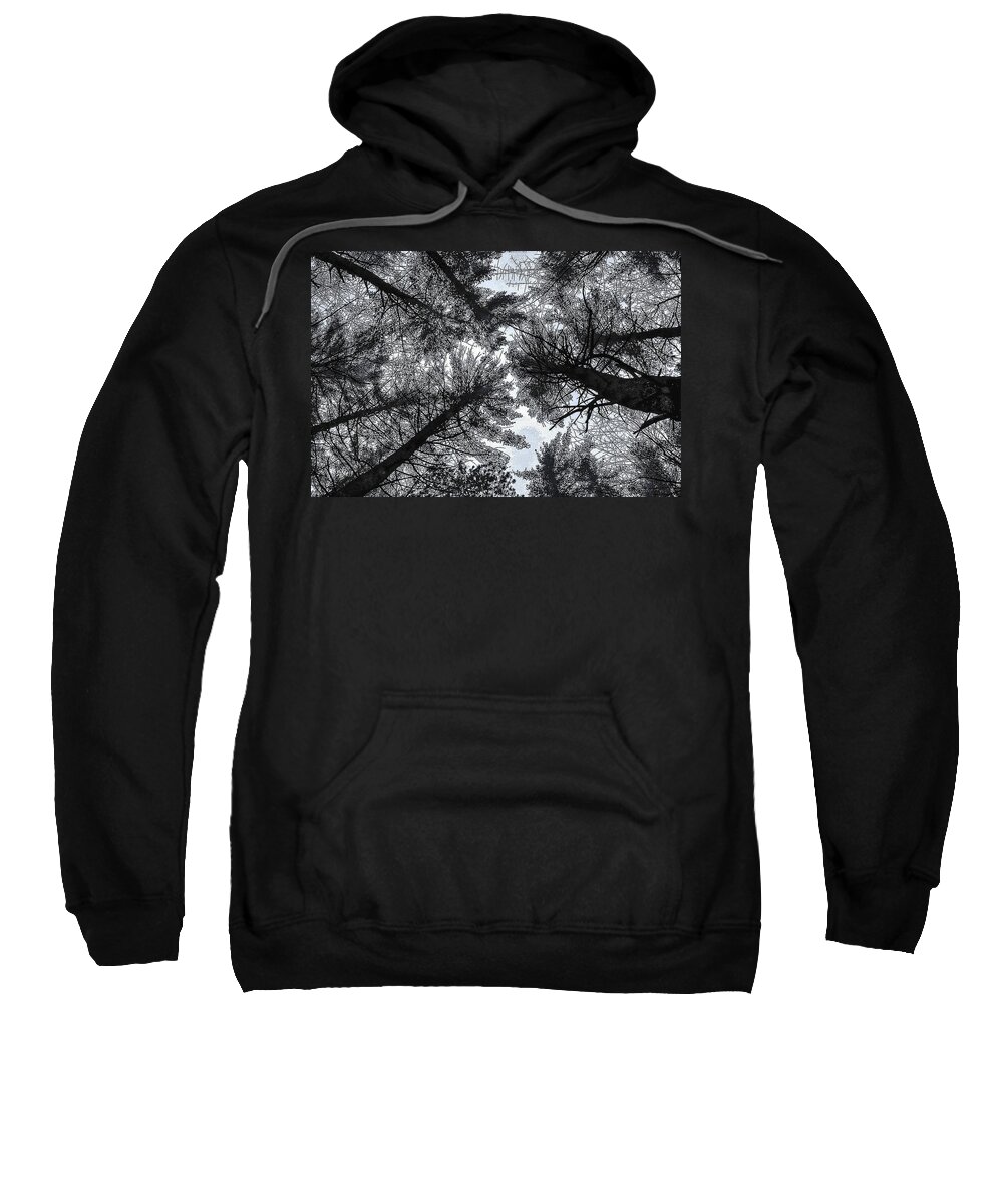 Tree Photographs Sweatshirt featuring the photograph Trees in Winter by Phyllis Meinke