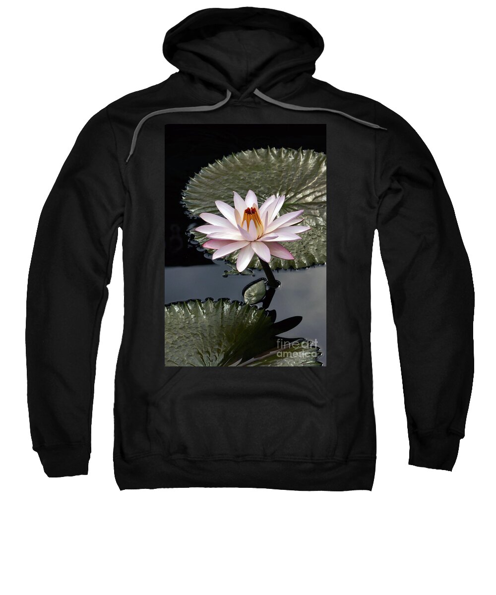 Tropical Nymphaea Sweatshirt featuring the photograph Tropical Floral Elegance by Byron Varvarigos