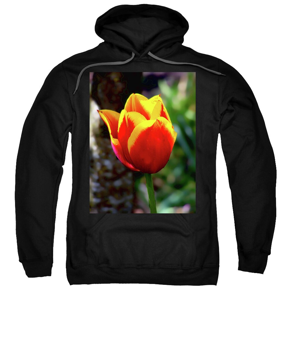 Tulip Sweatshirt featuring the photograph Tulip by Ron Roberts