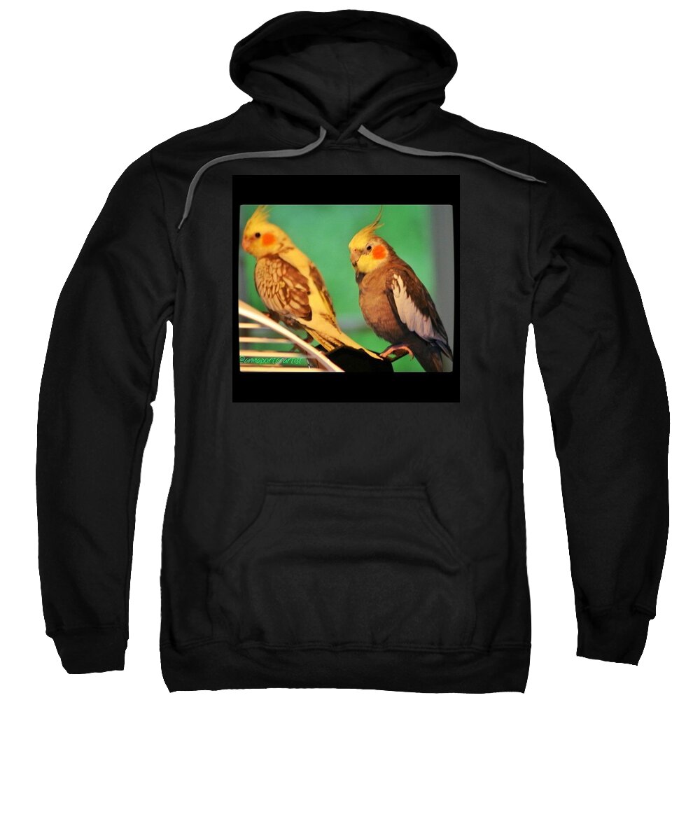 Two Tiels Chillin Sweatshirt featuring the photograph Two Tiels Chillin by Anna Porter