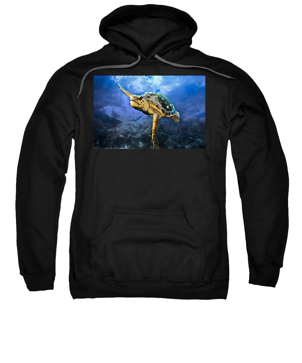 Clouds Sweatshirt featuring the photograph Under the Sea by Sandra Edwards