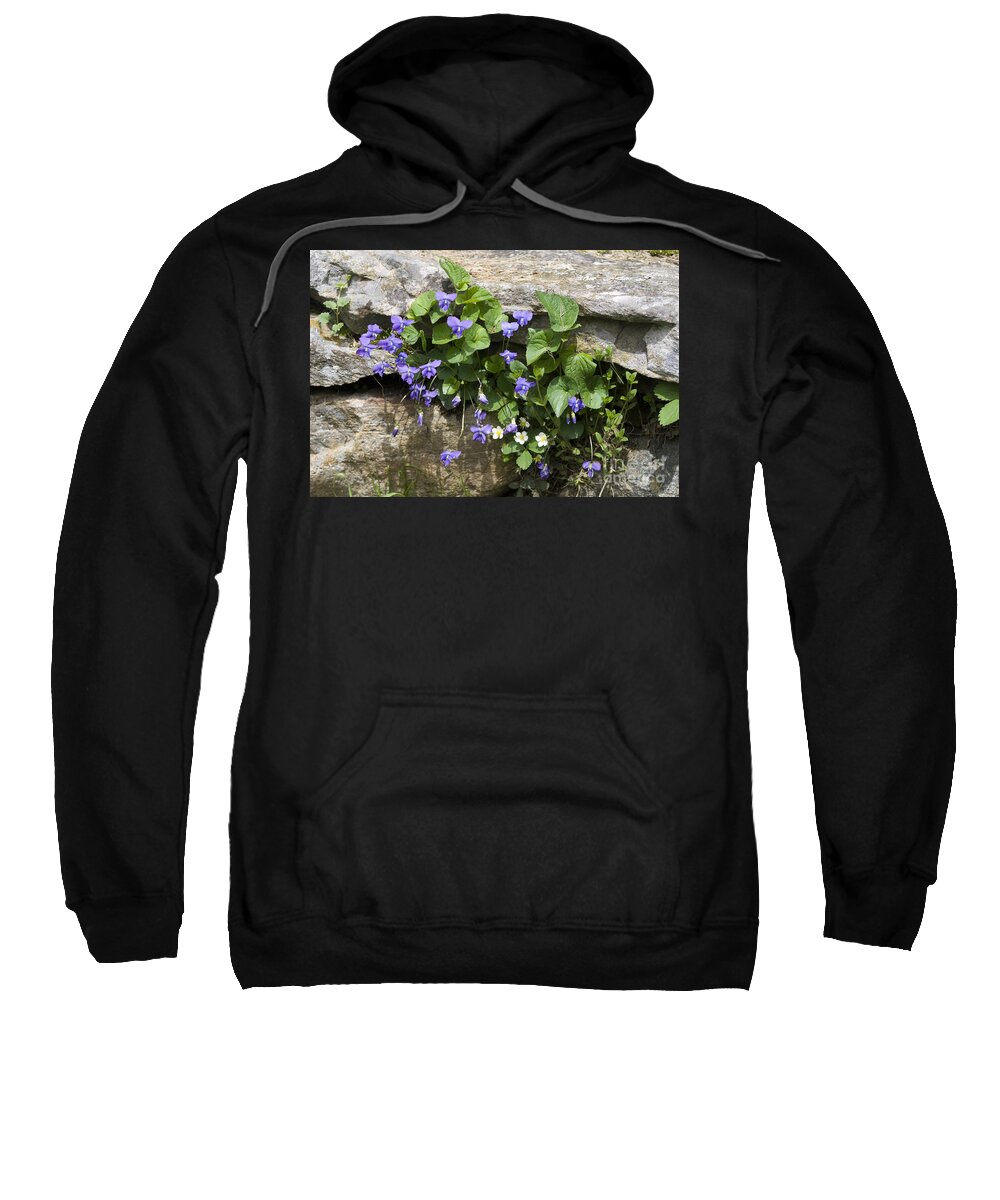 Violets Sweatshirt featuring the photograph Violets and Wild Strawberries by John Greco