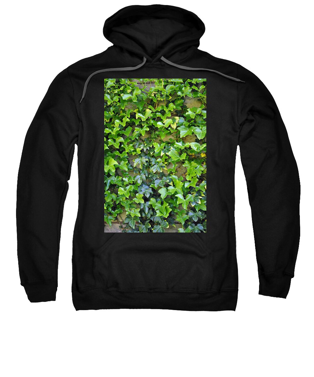 Wall Sweatshirt featuring the photograph Wall of Ivy by Tikvah's Hope