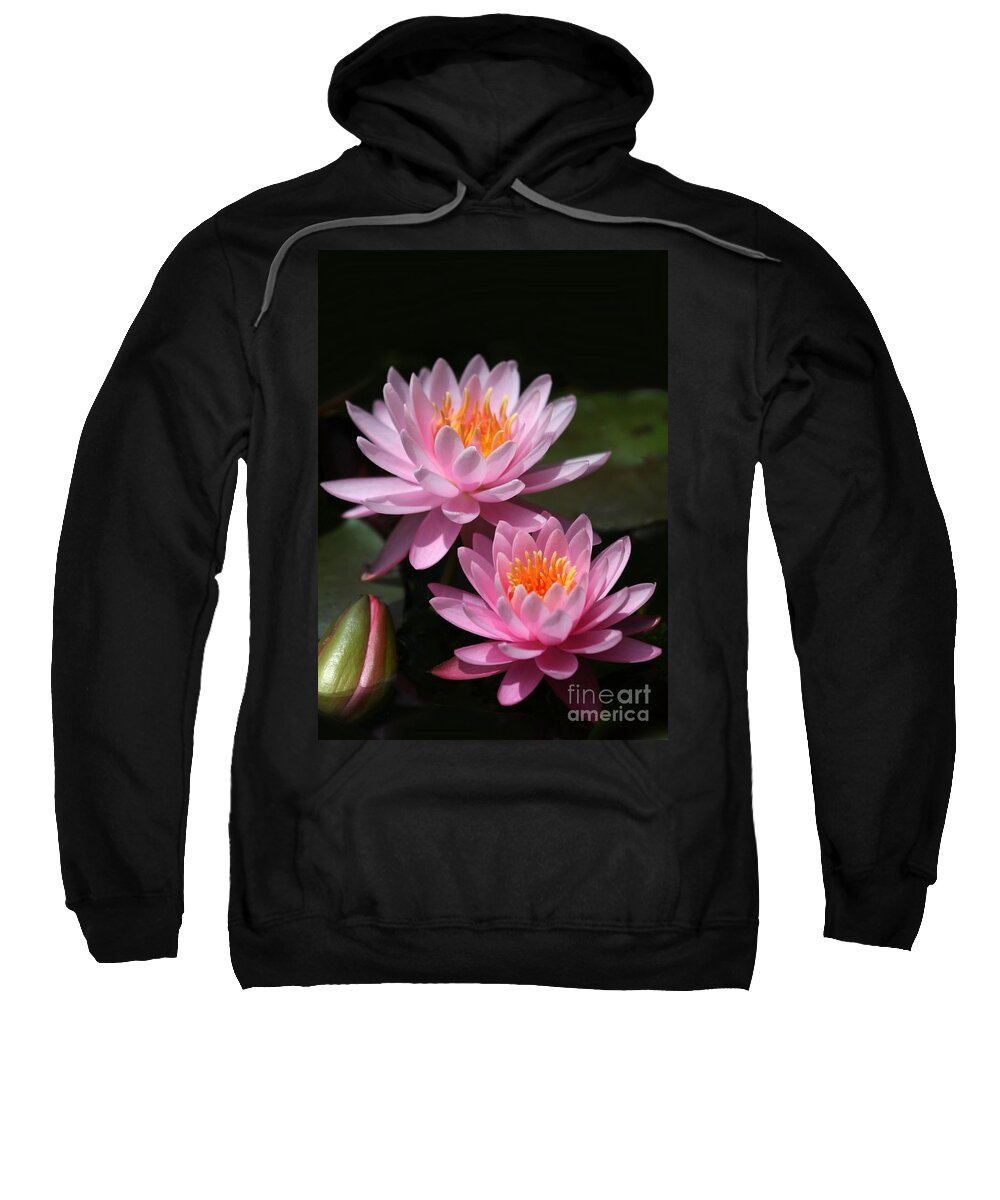 Water Lilies Sweatshirt featuring the photograph Water Lilies Love the Sun by Sabrina L Ryan