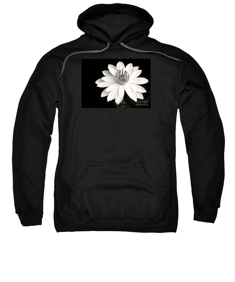 Landscape Sweatshirt featuring the photograph Water Lily Ballerina by Sabrina L Ryan