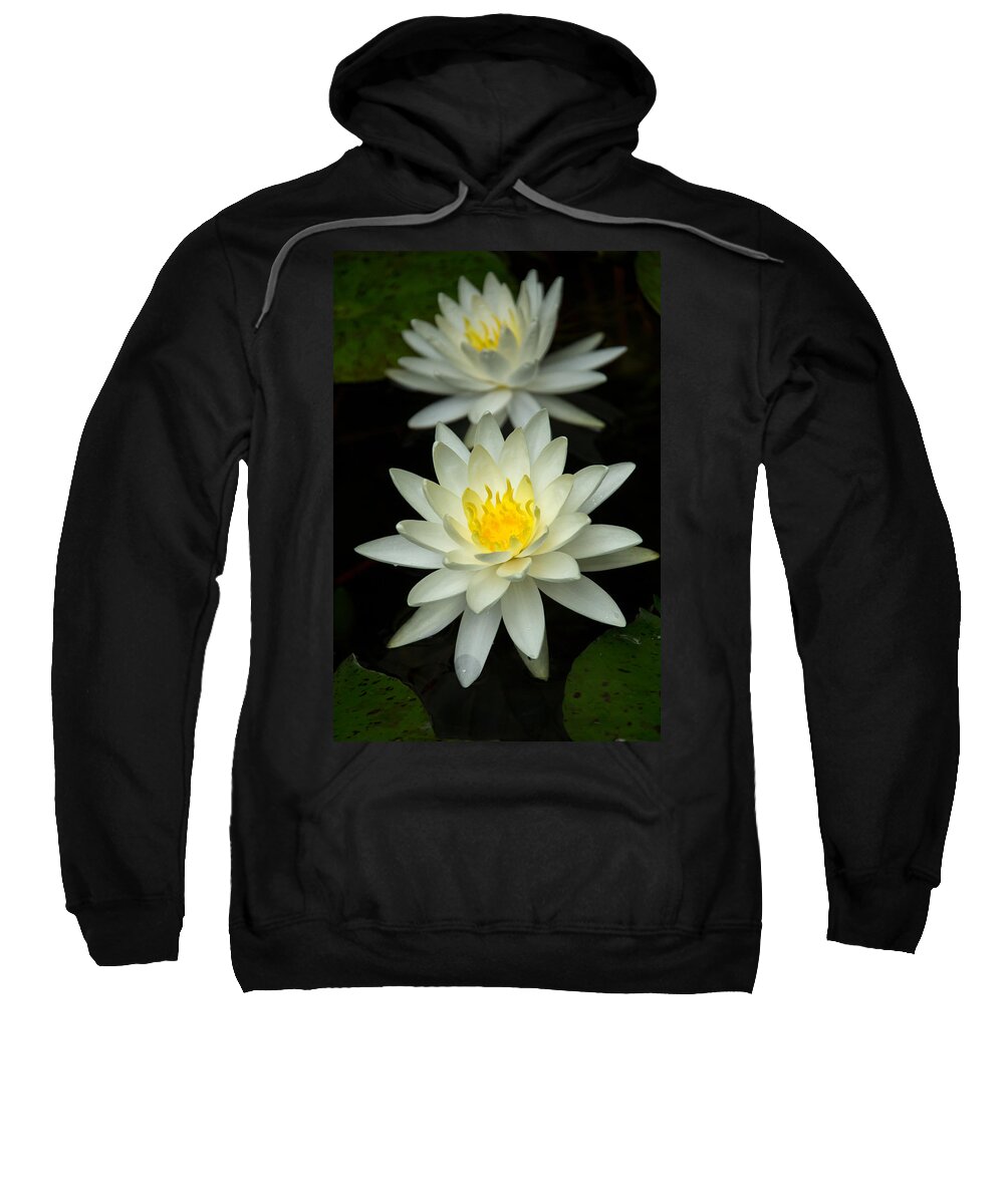 Water Lily Sweatshirt featuring the photograph Water Lily by Jemmy Archer