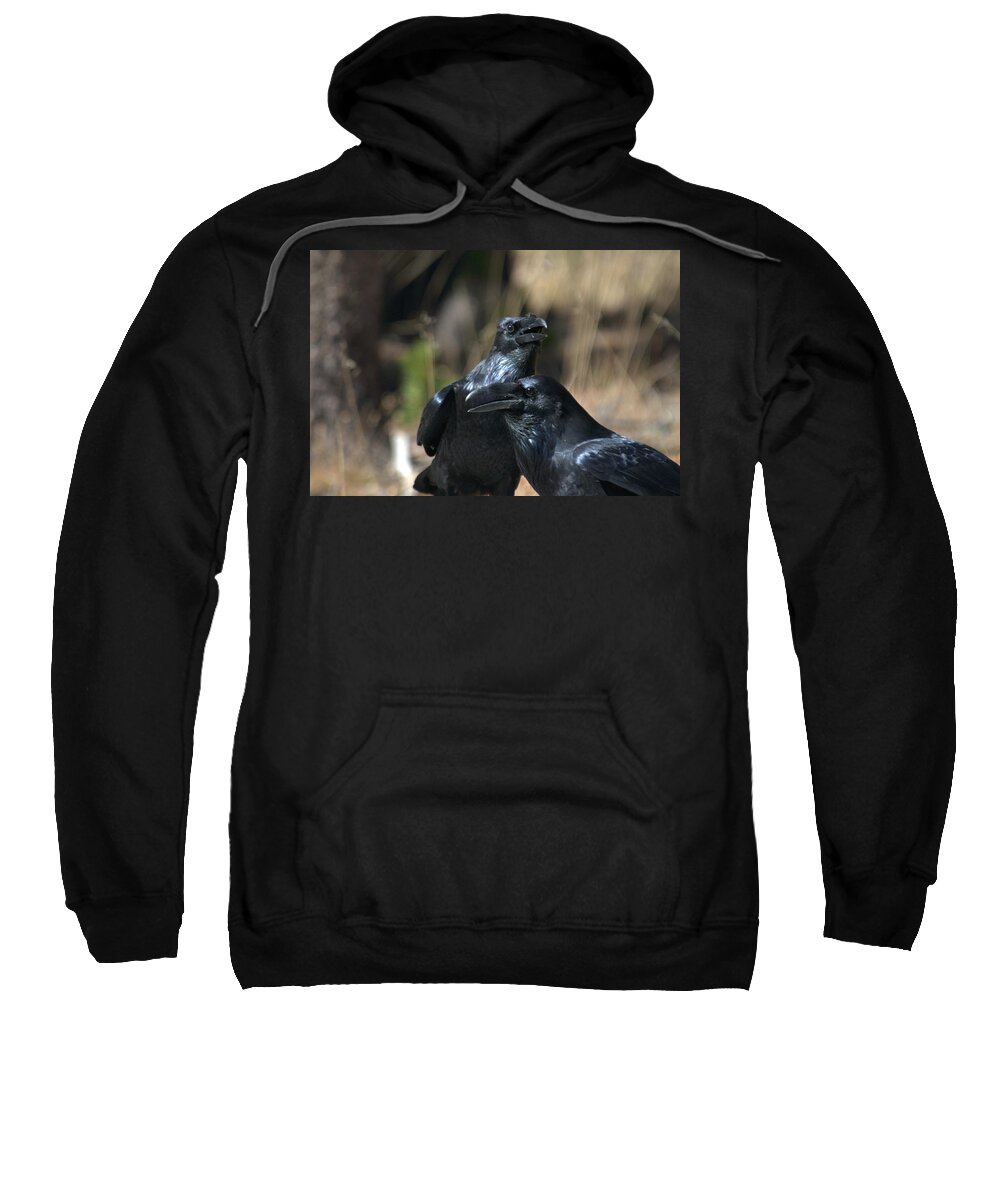 Ravens Sweatshirt featuring the photograph We are the best of friends by Frank Madia