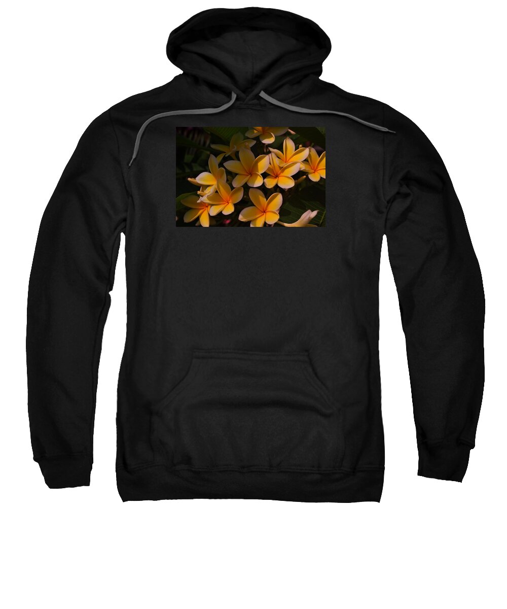 Tropical Garden Sweatshirt featuring the photograph White Plumeria by Miguel Winterpacht
