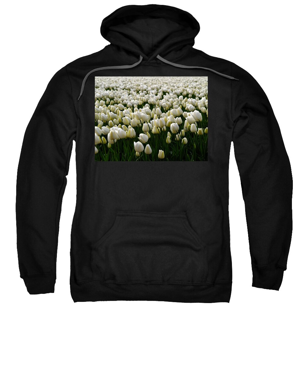 Photography Sweatshirt featuring the photograph White Tulip field by Luc Van de Steeg