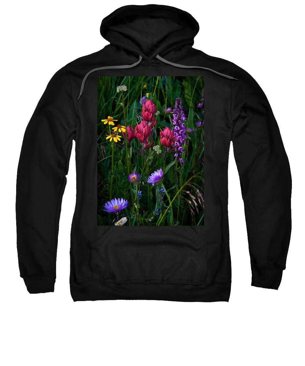 Landscape Sweatshirt featuring the photograph Wildflowers a Bloomin by Steven Reed