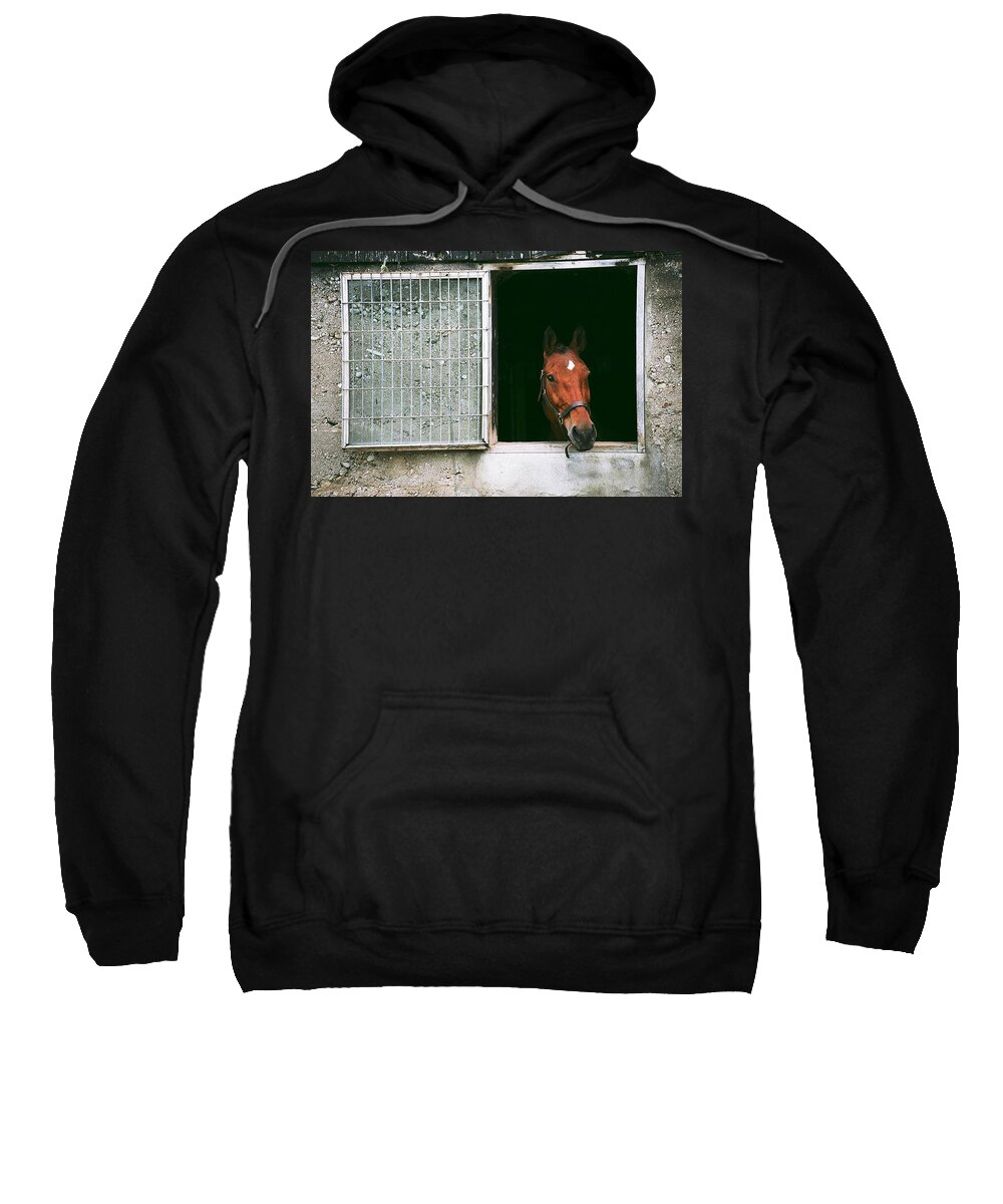 Horse Sweatshirt featuring the photograph Window View by David Porteus