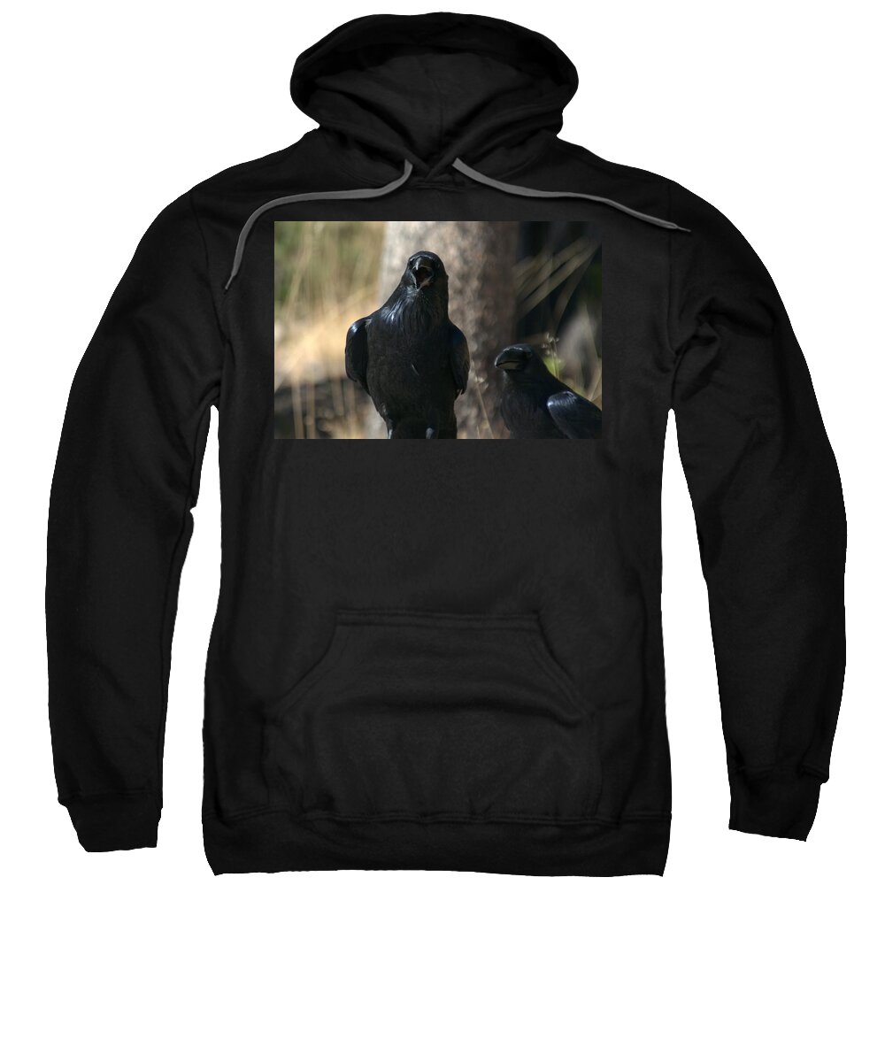 Raven Sweatshirt featuring the photograph You said it friend by Frank Madia