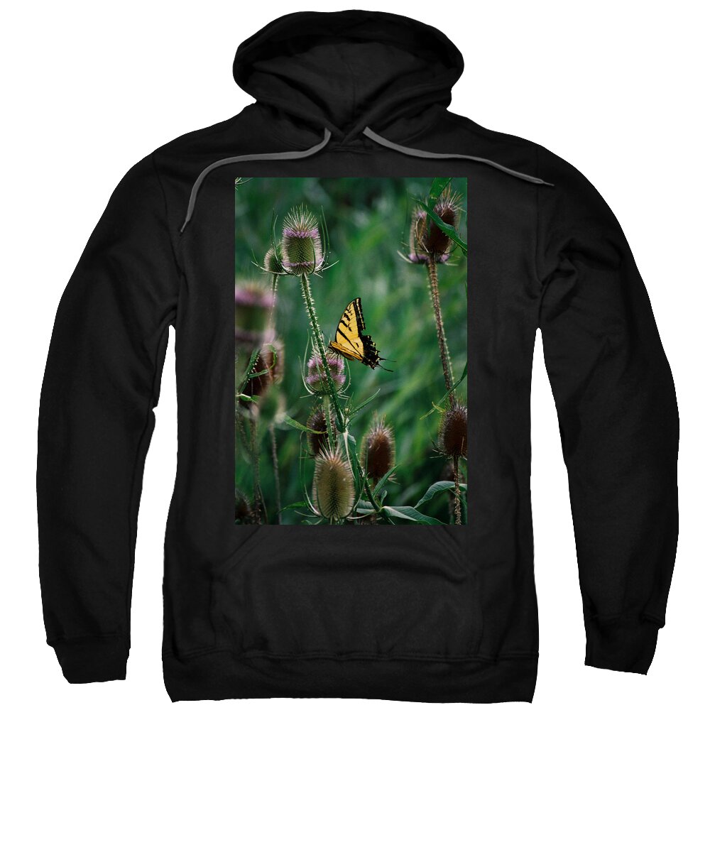 New Mexico Sweatshirt featuring the photograph Delicate Dance by Ron Weathers