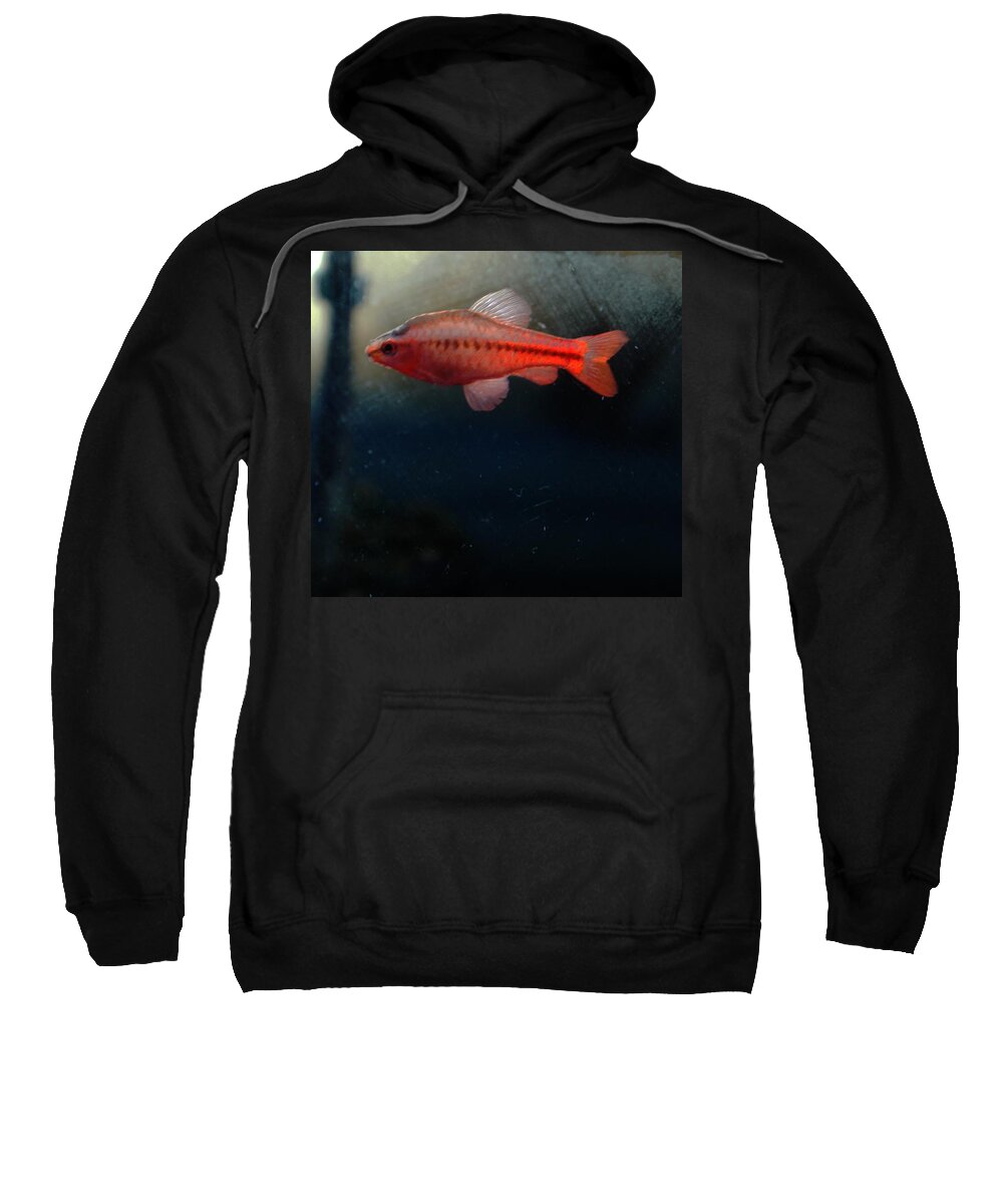  Sweatshirt featuring the photograph My room up close 1 #21 by Myron Belfast