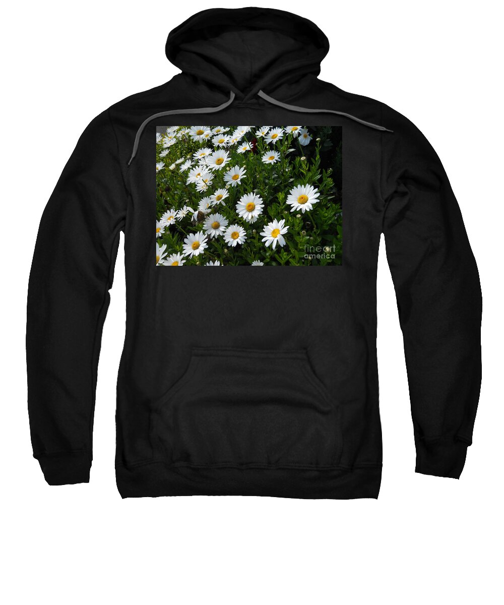 Daisy Sweatshirt featuring the photograph A Field of Daisies by Yenni Harrison