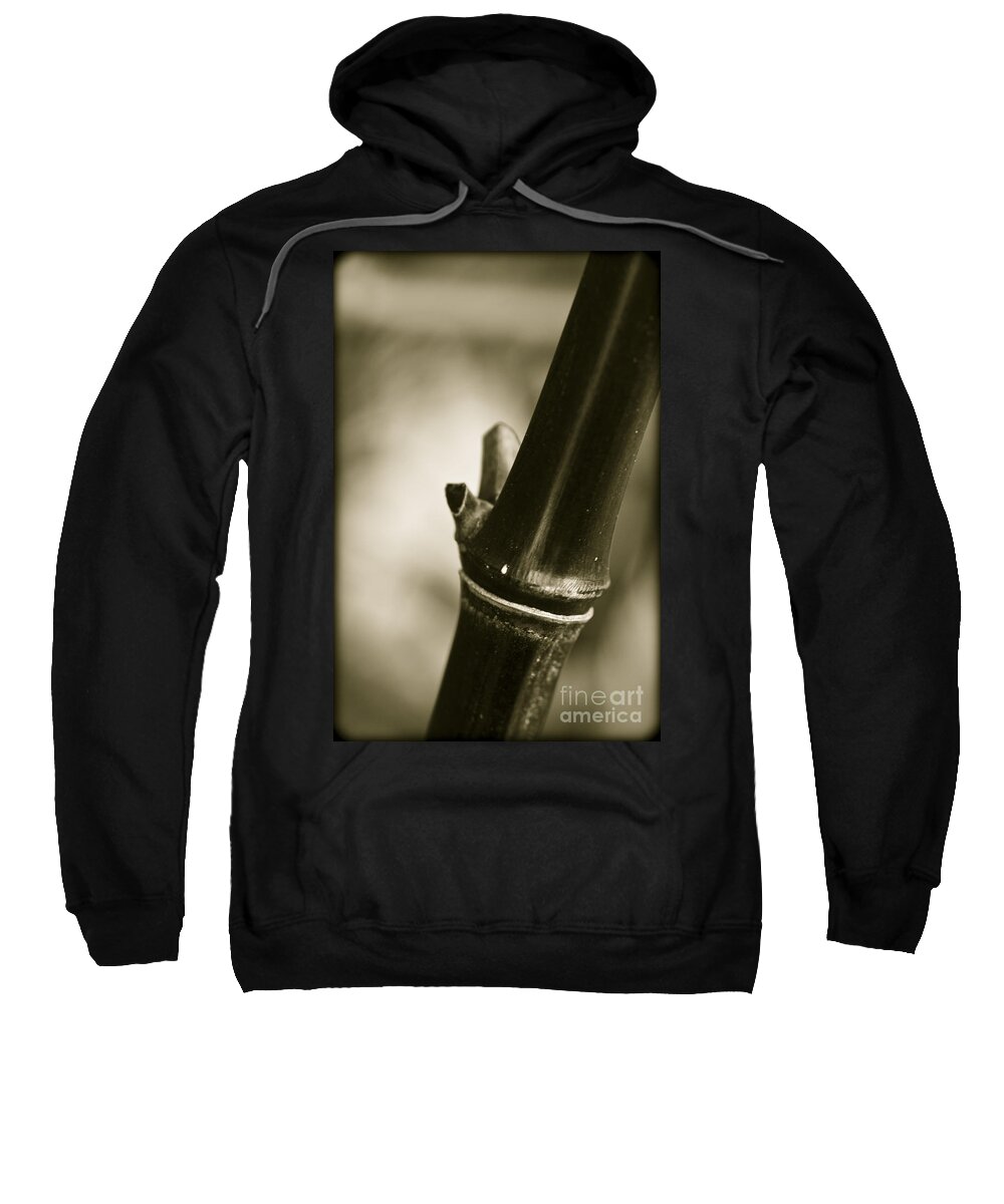 Clare Bambers Sweatshirt featuring the photograph Abstract Bamboo by Clare Bambers