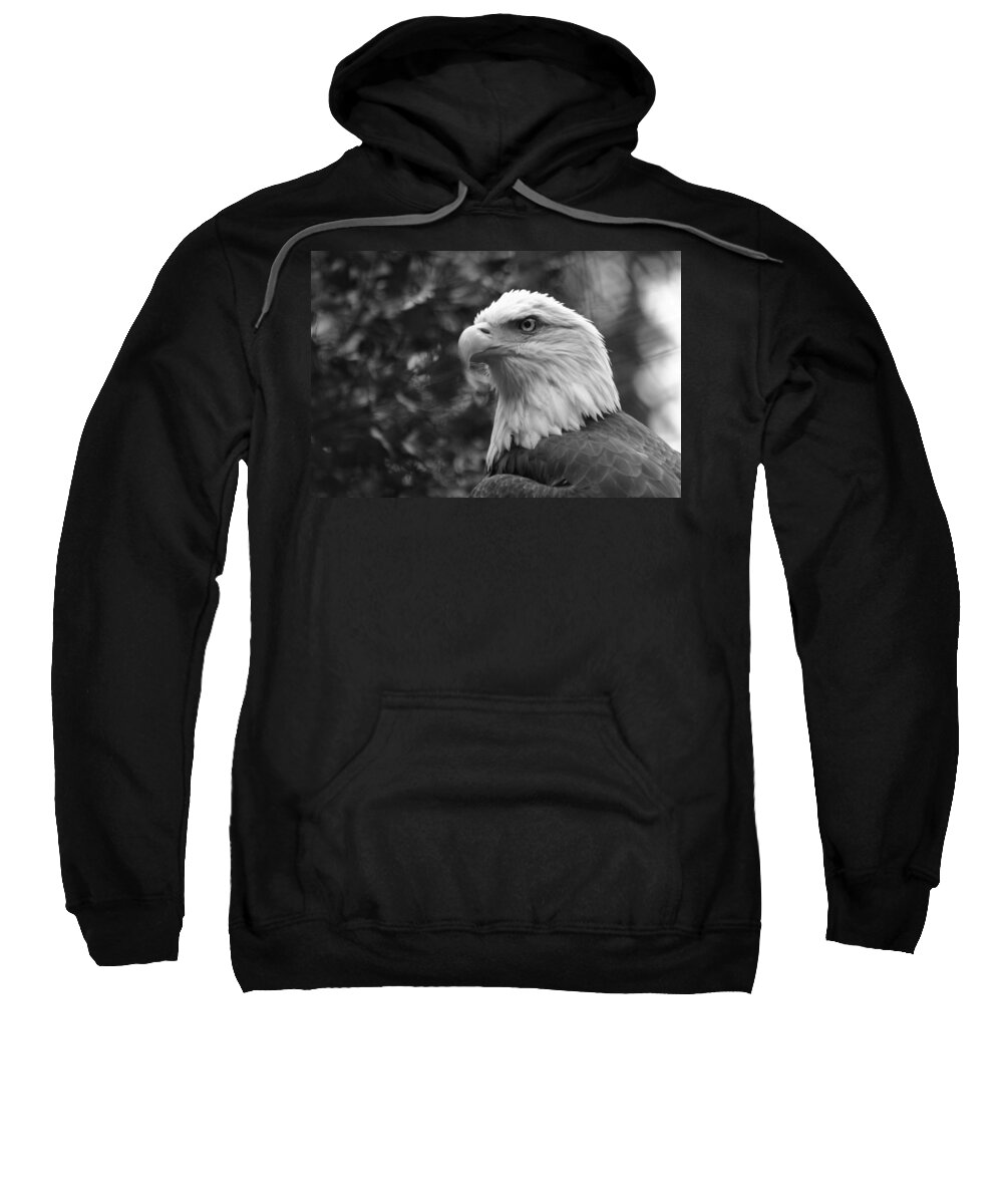 Zoo Sweatshirt featuring the photograph American Bald Eagle by David Rucker