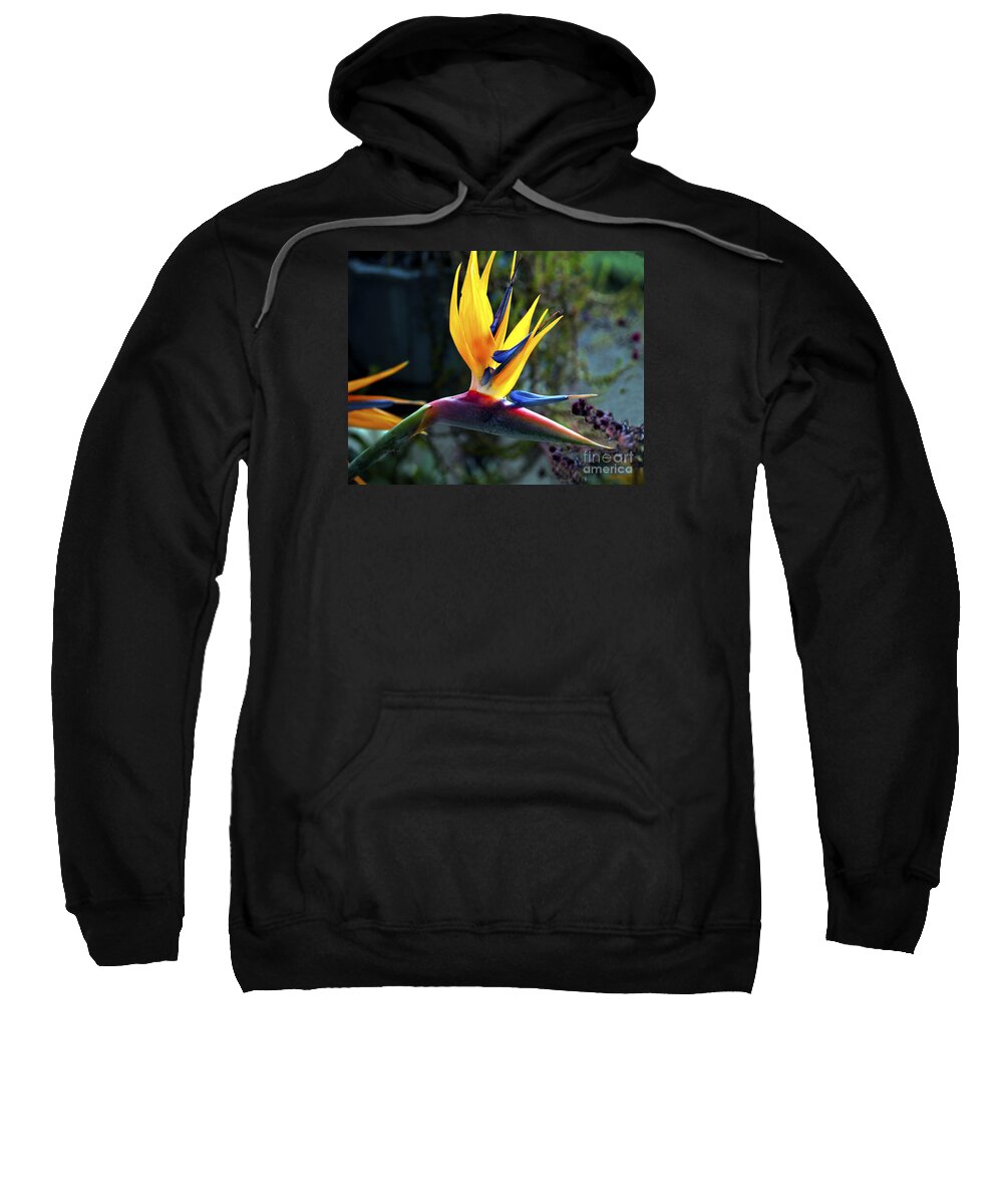 Fine Art Photography Sweatshirt featuring the photograph Bird of Paradise by Patricia Griffin Brett