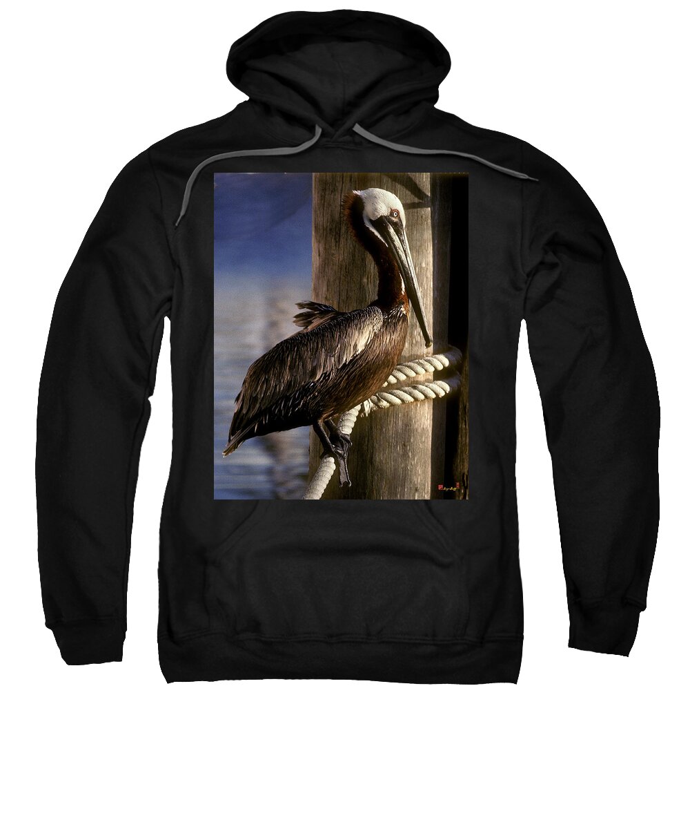 Birds Sweatshirt featuring the photograph Brown Pelican in Key West 9L by Gerry Gantt