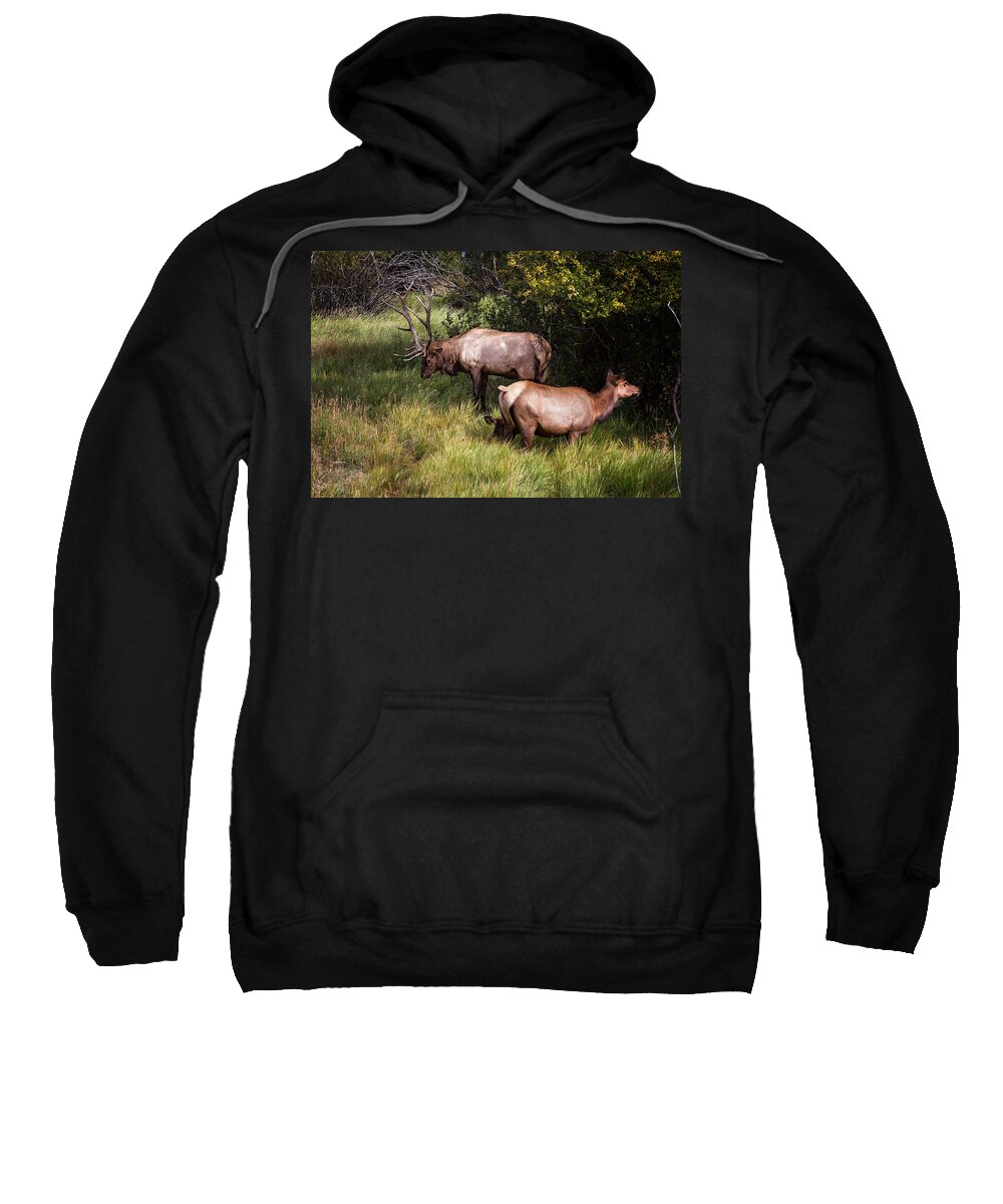 2012 Sweatshirt featuring the photograph Bull Elk 7X7 by Ronald Lutz