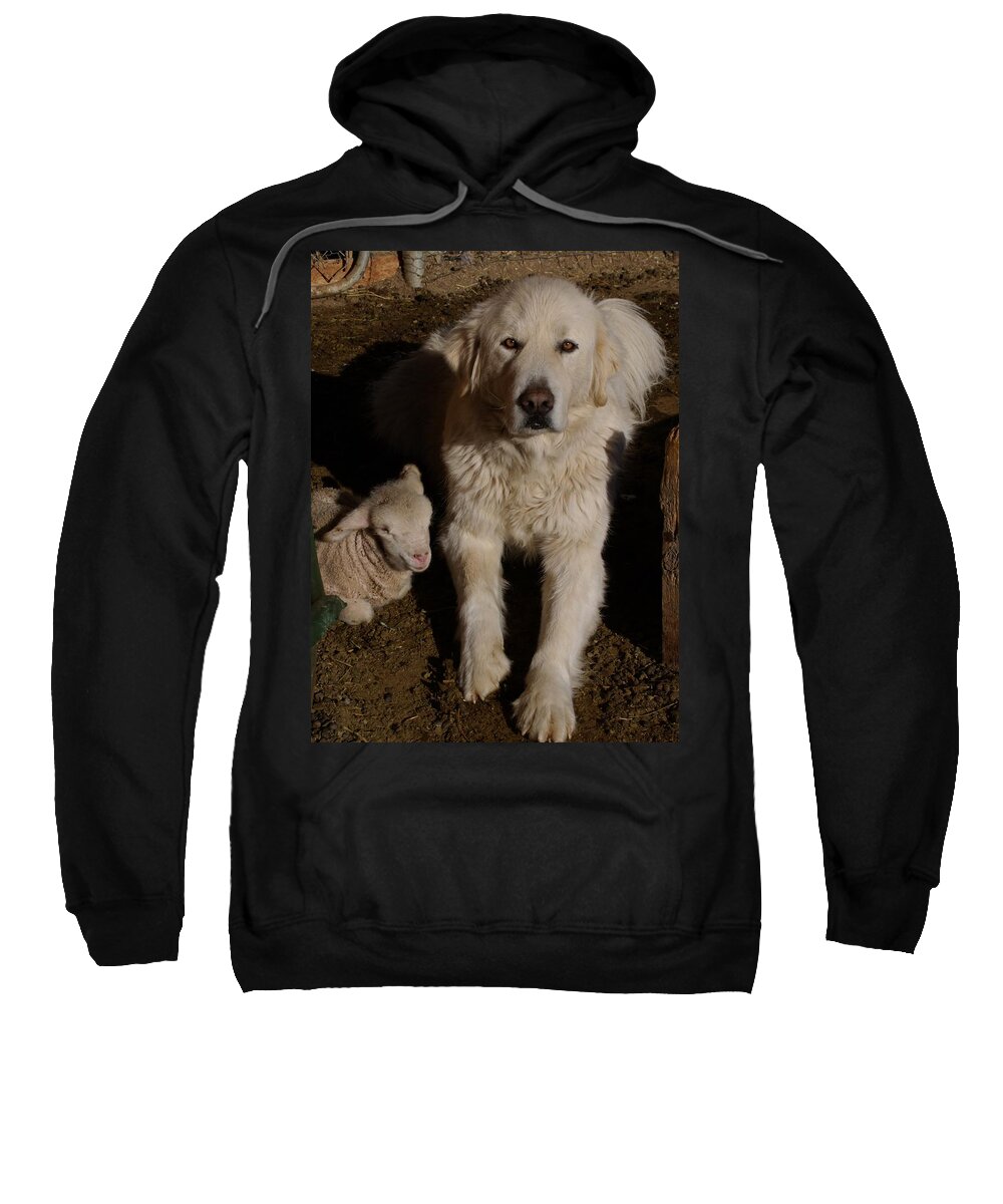 Great Pyrenees Sweatshirt featuring the photograph Close Personal Protection by Charles and Melisa Morrison