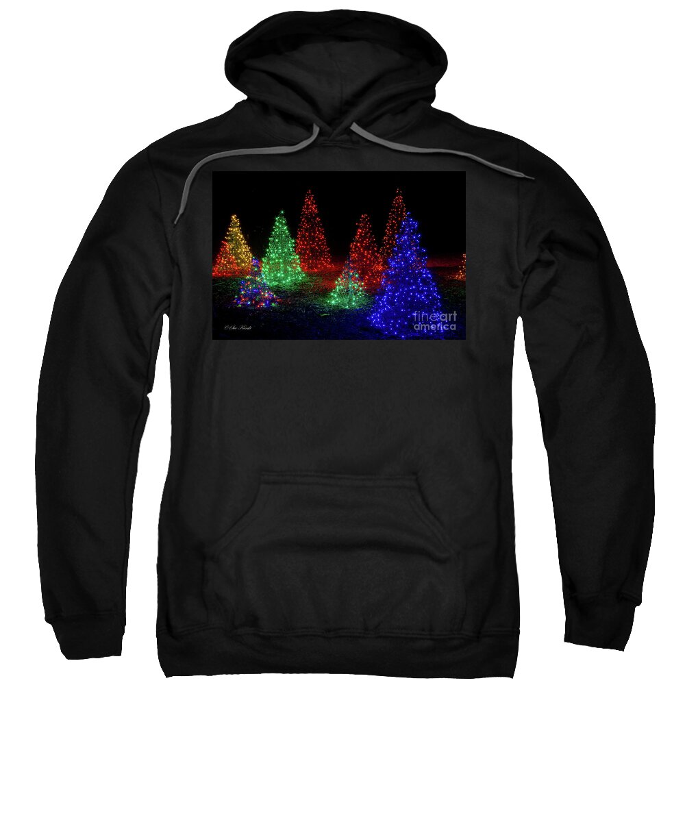Botanical Garden Sweatshirt featuring the photograph Colorful Christmas Trees by Sue Karski