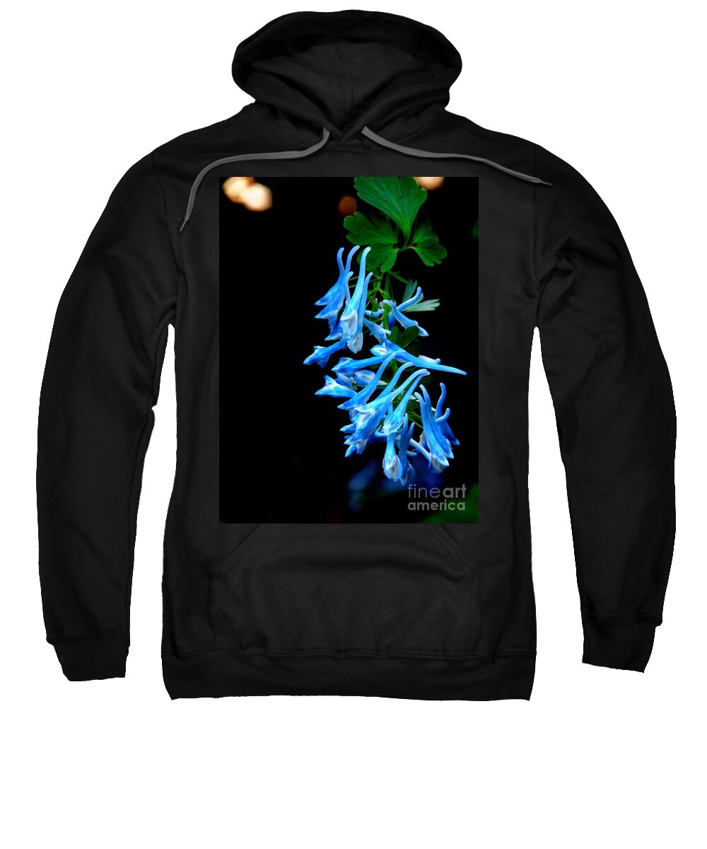  Corydalis Sweatshirt featuring the photograph Corydalis by Tatyana Searcy