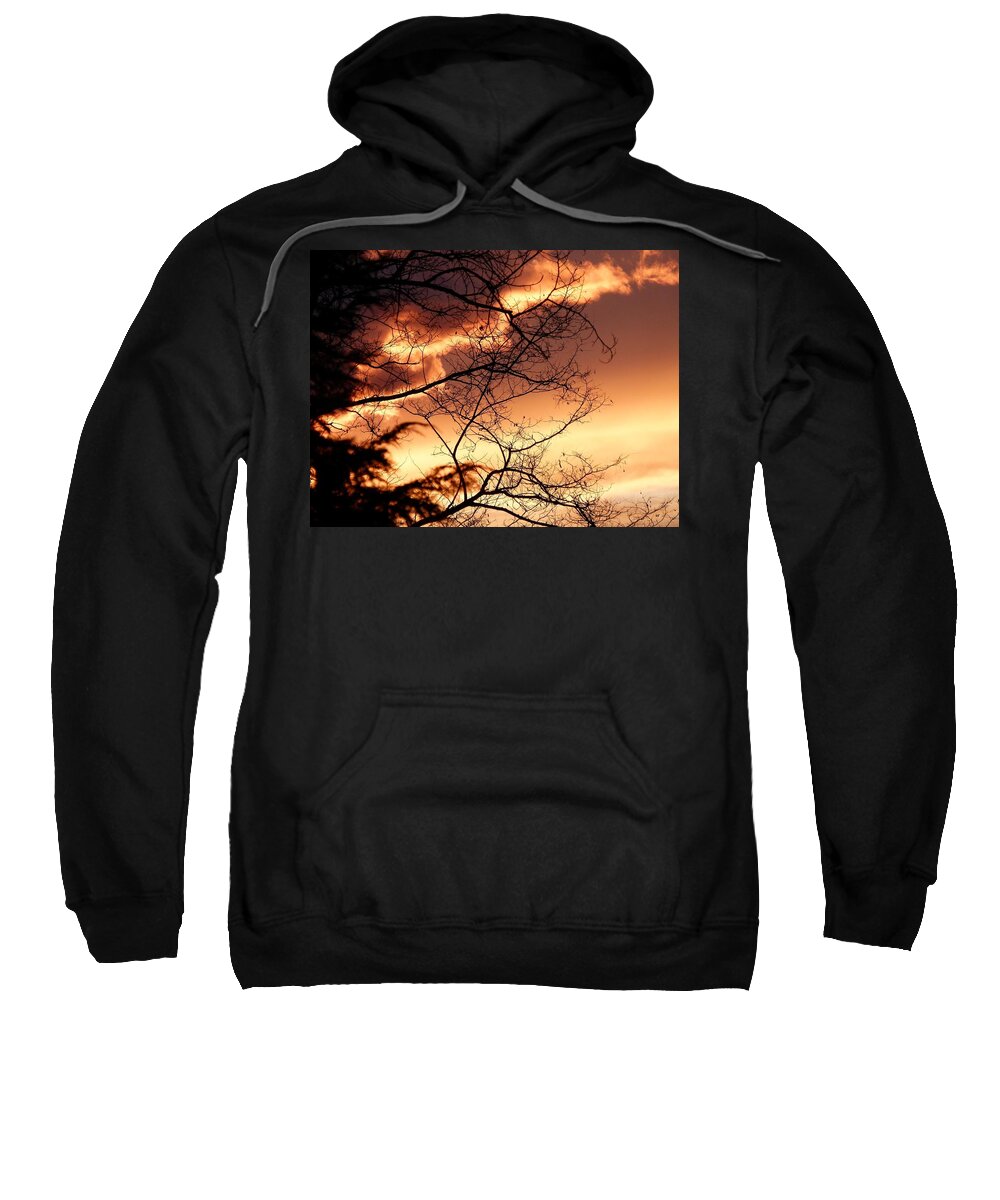 Dazzling Sky Sweatshirt featuring the photograph Dazzling Sky And Silhouette by Will Borden