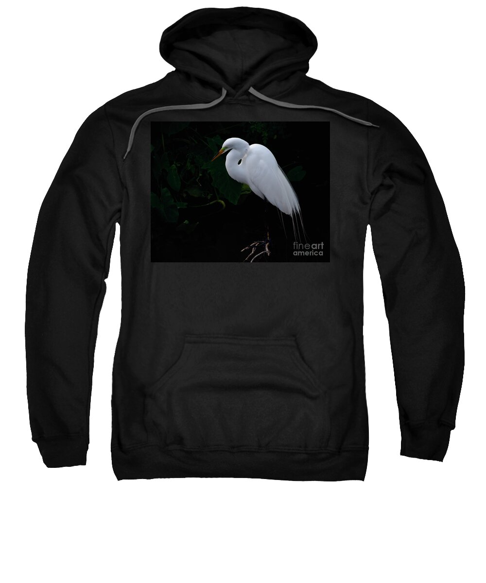 Egret Sweatshirt featuring the photograph Egret on a Branch by Art Whitton