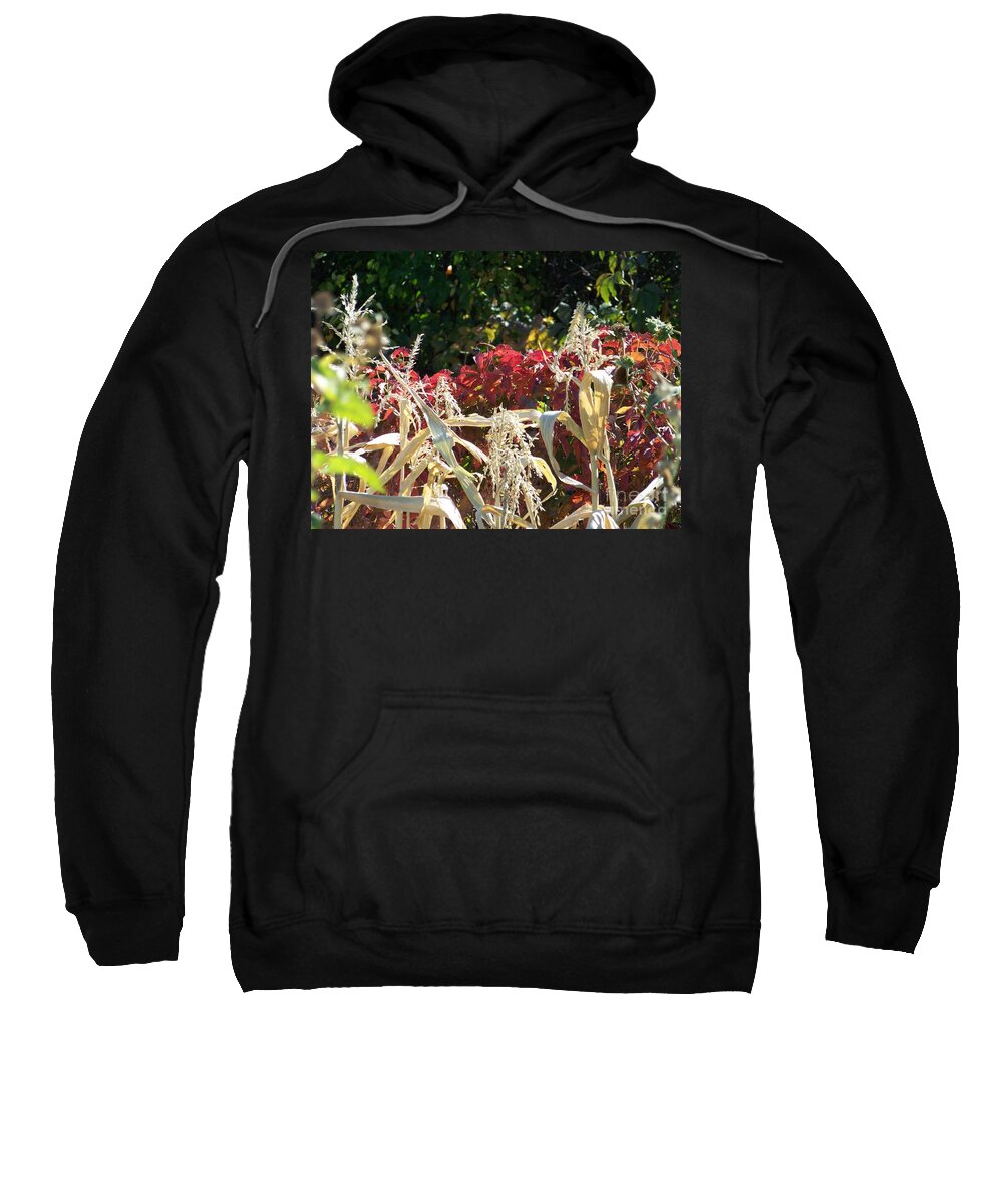 Fall Colors Sweatshirt featuring the photograph Fall Harvest of Color by Dorrene BrownButterfield