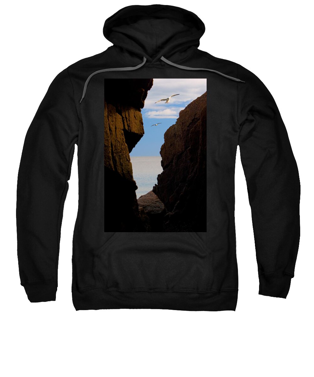 Seagull Sweatshirt featuring the photograph Gulls of Acadia by Brent L Ander