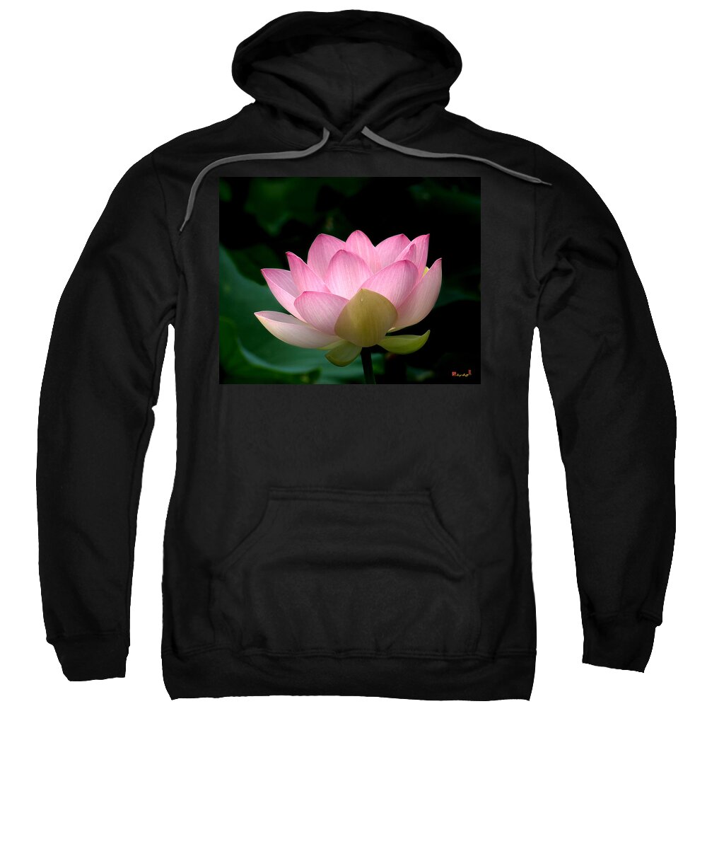 Nature Sweatshirt featuring the photograph Lotus Beauty--Blushing DL003 by Gerry Gantt