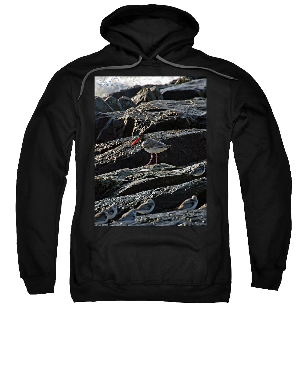 Oyster Catcher Sweatshirt featuring the photograph Oyster on the Rocks by S Paul Sahm