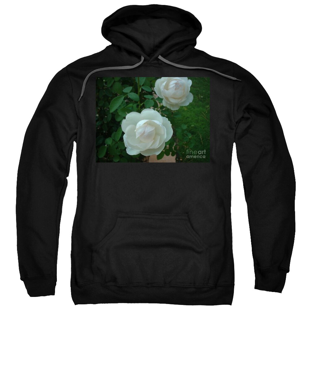 Rose Sweatshirt featuring the photograph Perfect Pair by Mark Robbins