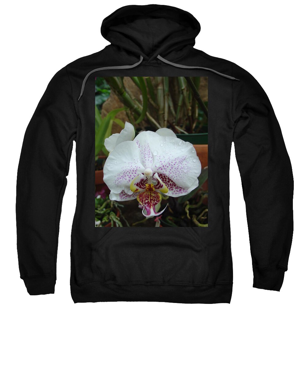 Rain Sweatshirt featuring the photograph Rain Drops on Orchid by Charles and Melisa Morrison