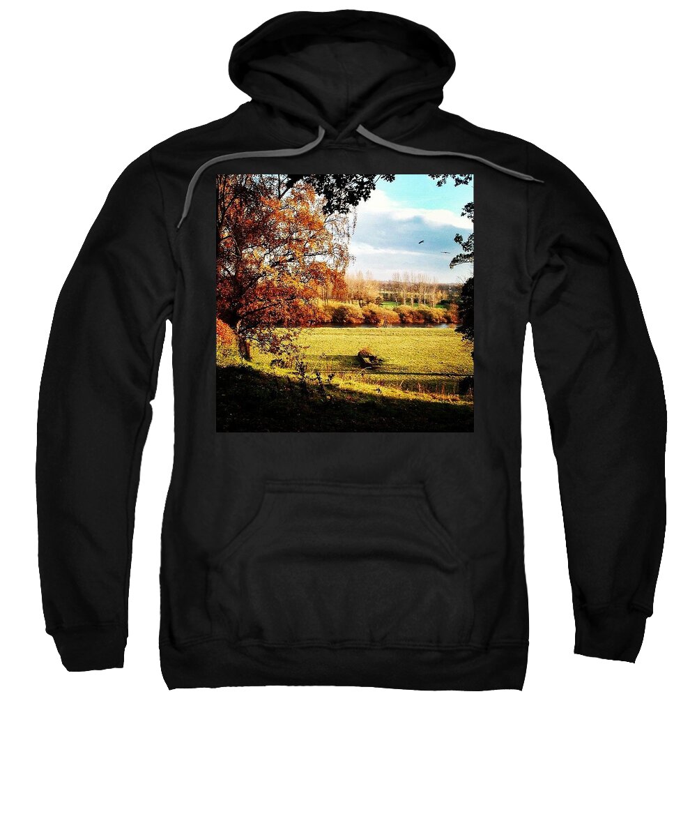 Golden Sweatshirt featuring the photograph Rickerby Park by Silva Halo