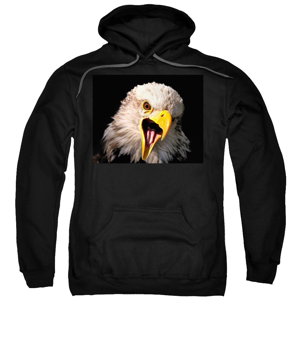  Sweatshirt featuring the photograph Screaming Eagle II Black by Bill Dodsworth