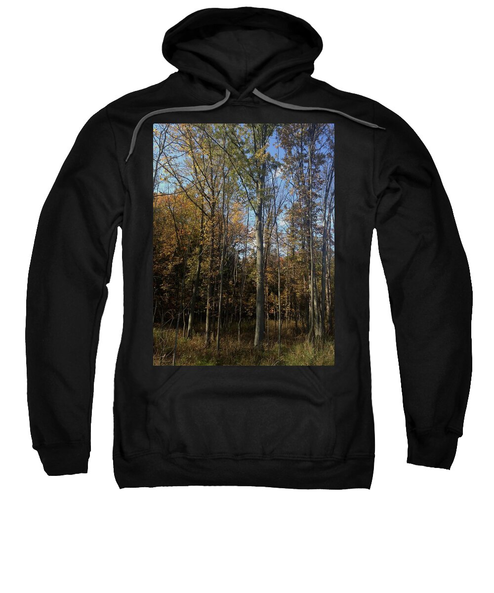 Carson City Sweatshirt featuring the photograph Sloan Woods by Joseph Yarbrough