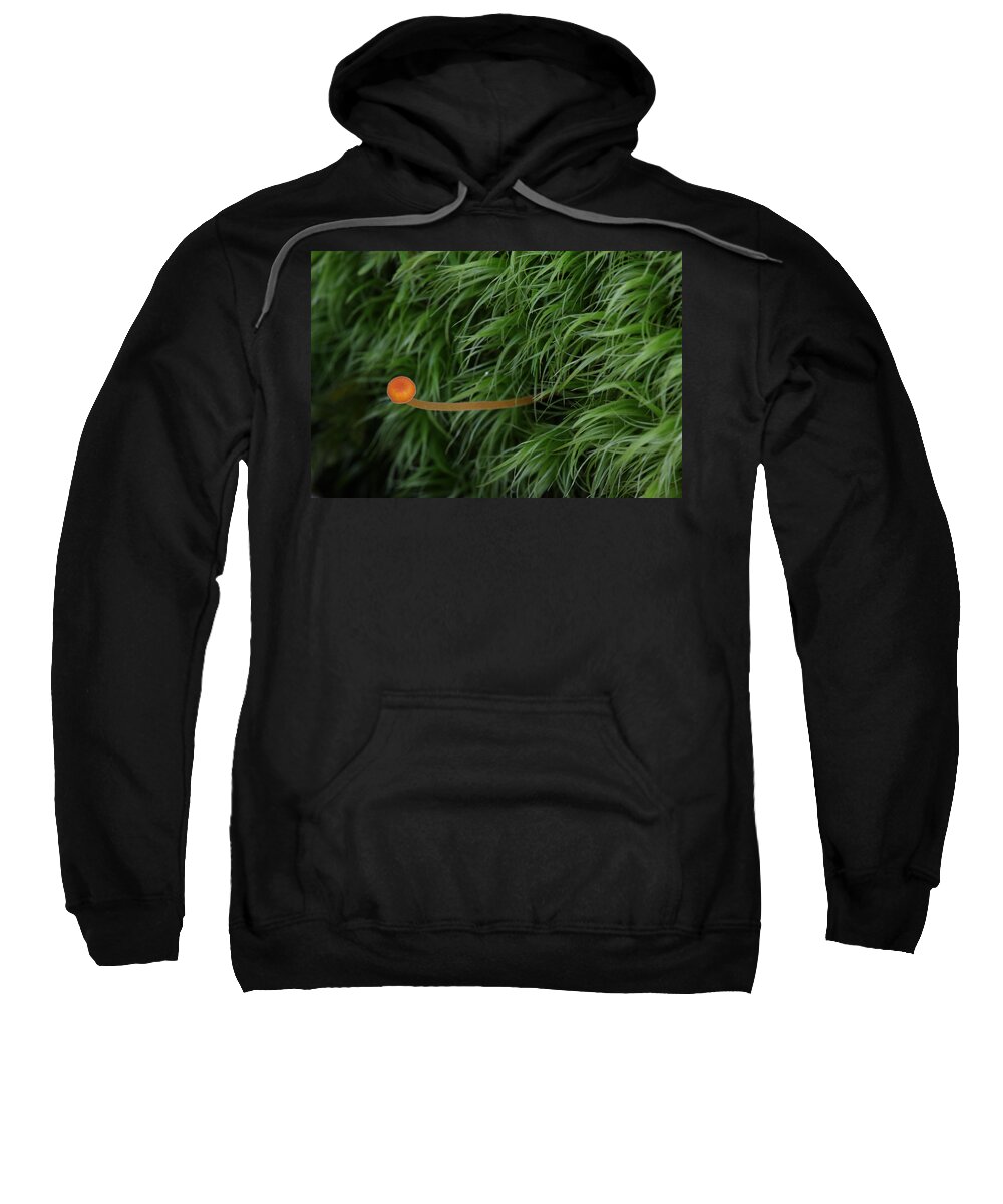 Nature Sweatshirt featuring the photograph Small Orange Mushroom In Moss by Daniel Reed